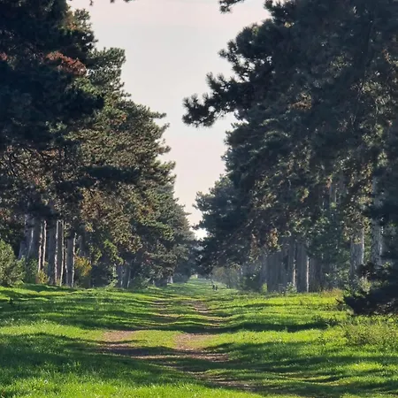 Balaton-parti Kertes *