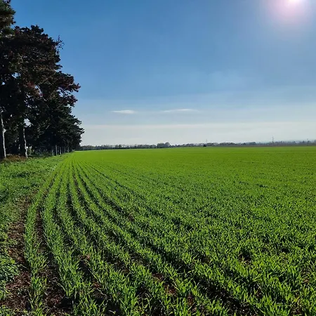 Сasa de vacaciones Balaton-parti Kertes