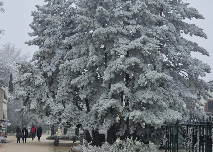 Balaton-parti Kertes Nyaralo