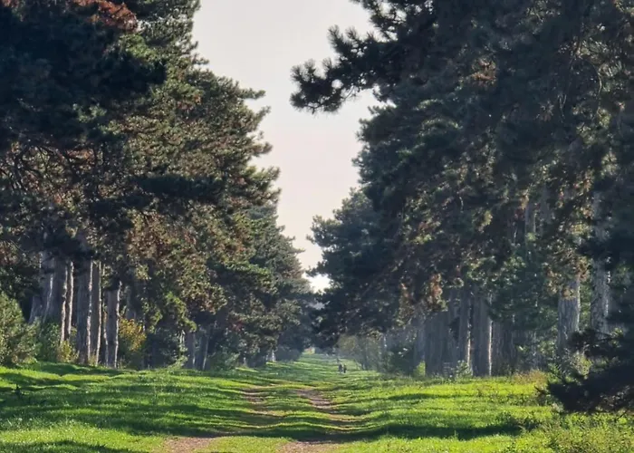 Balaton-parti Kertes Nyaralo *