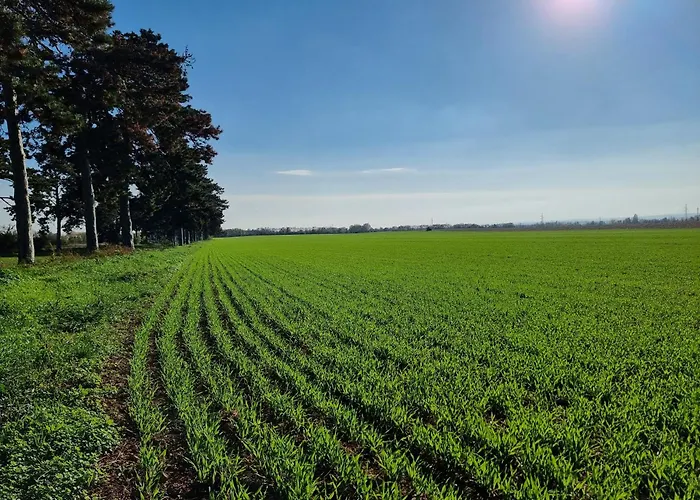 펜션 Balaton-parti Kertes Nyaralo