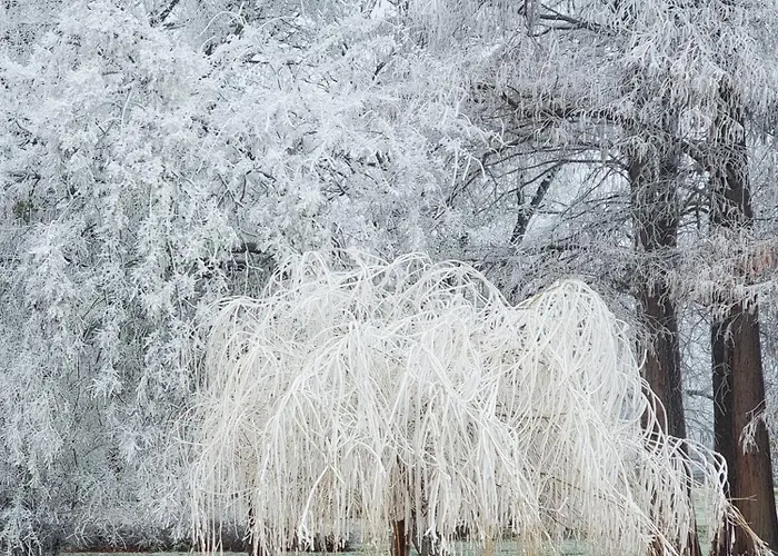 펜션 Balaton-parti Kertes Nyaralo