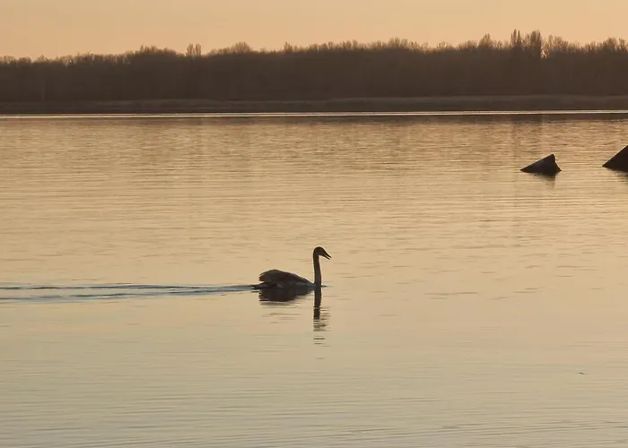 Balaton-parti Kertes Nyaralo 펜션 *