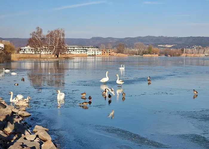 펜션 Balaton-parti Kertes Nyaralo *