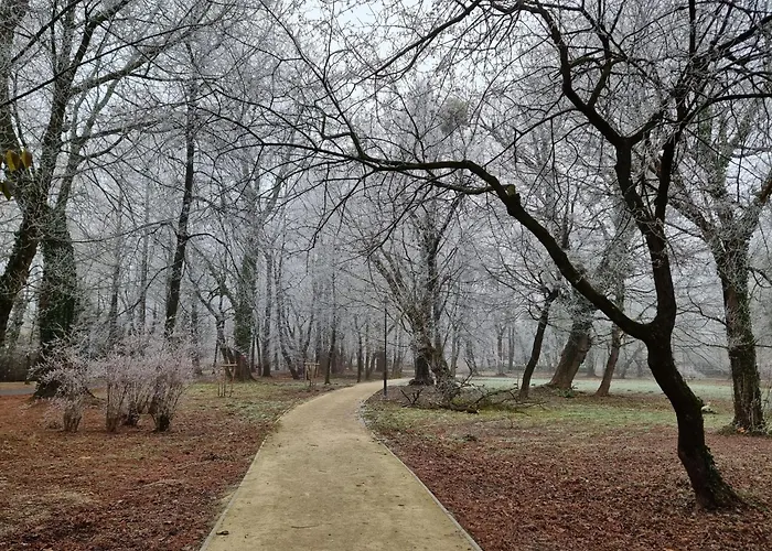 Balaton-parti Kertes Nyaralo 펜션 *