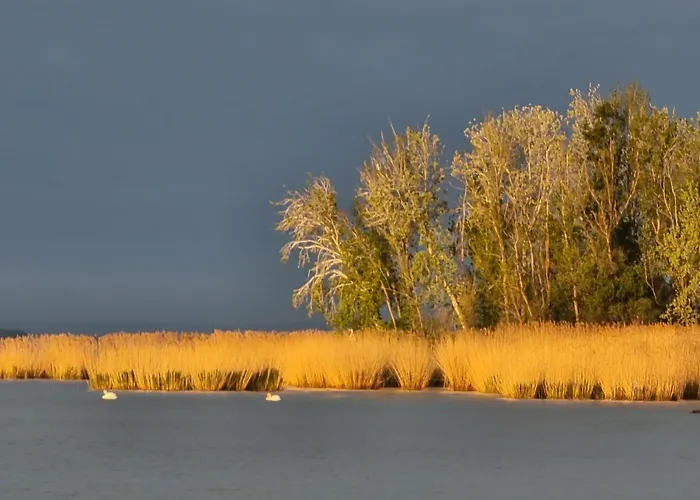 Balaton-parti Kertes Nyaralo *
